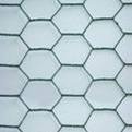 Hexagonal Wire Mesh