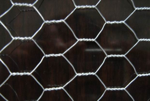 Hexagonal Mesh/ Wire Netting