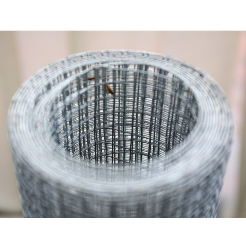 Galvanized Welded Wire Mesh 2''*2''