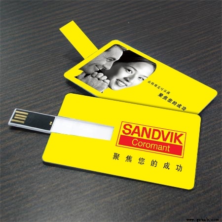 USB Flash Disk (T-054)