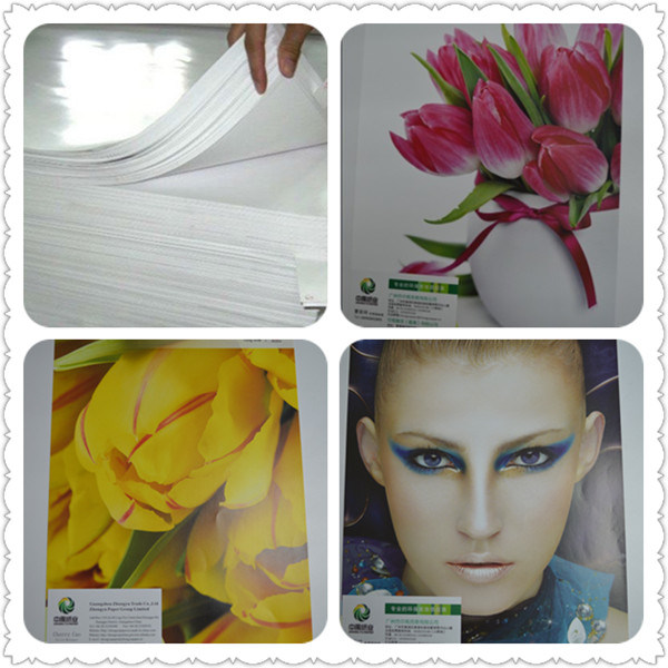 Good Quality Art Paper/ Coated Printing Paper in Sheet or Roll