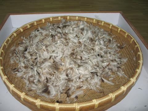 2-4cm /4-6cm Washed Grey Duck Feather