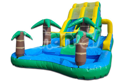 Dual Tropical Water Slide Inflatable Slide Inf008