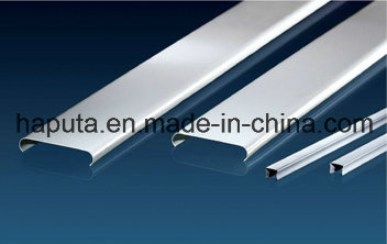 Building Material Decorative Ceiling