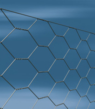 Hexagonal Wire Mesh