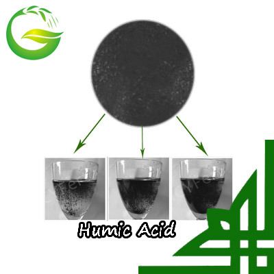 Organic Fertilizer Iron Chelate Humic Acid Fertilizer