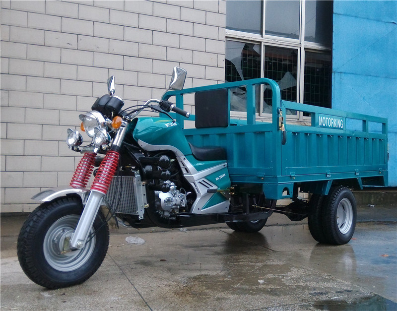 200cc Cargo Tricycle Heavy Load Tricycle Gasoline Three Wheel Motorcycle