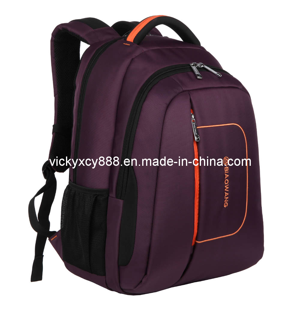 Professional Business Travel Computer Laptop Bag Pack Backpack (CY1873)