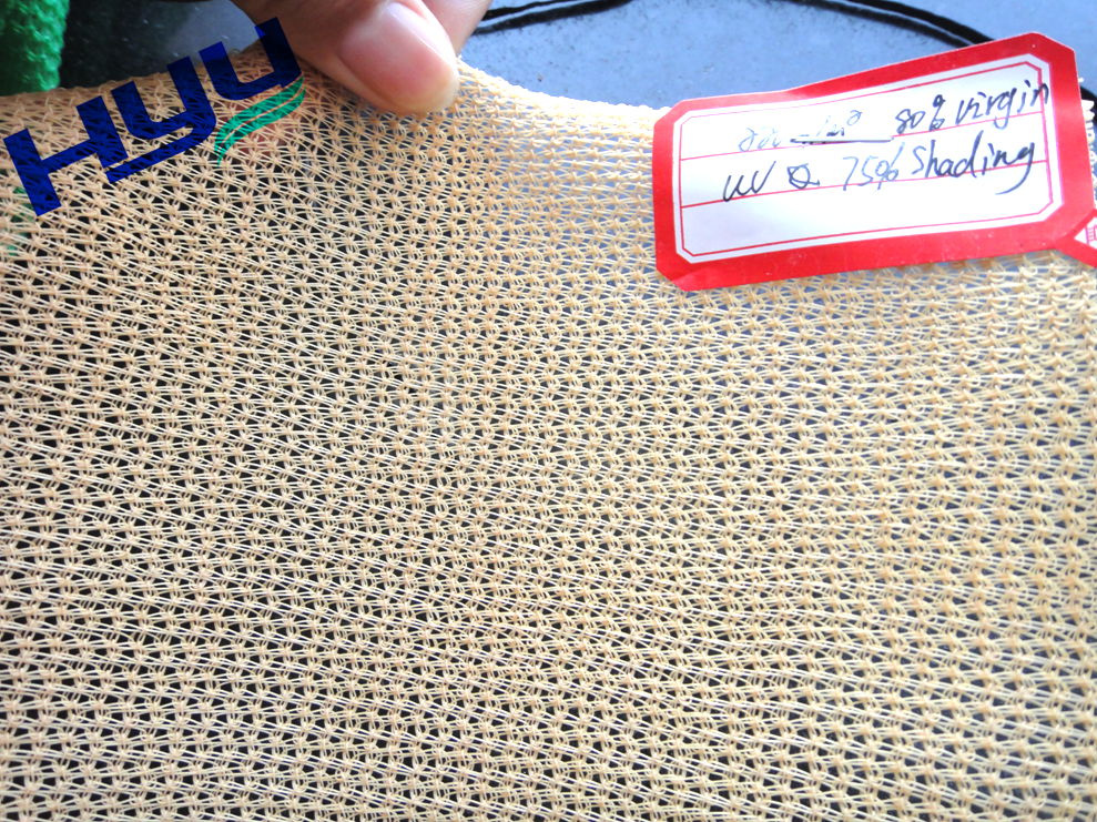 Beige Color Scaffolding Net with 200G/M2