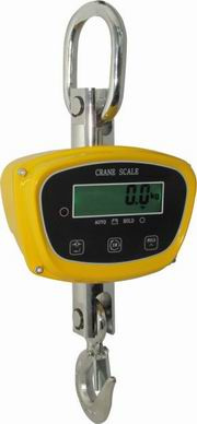 Crane Scale