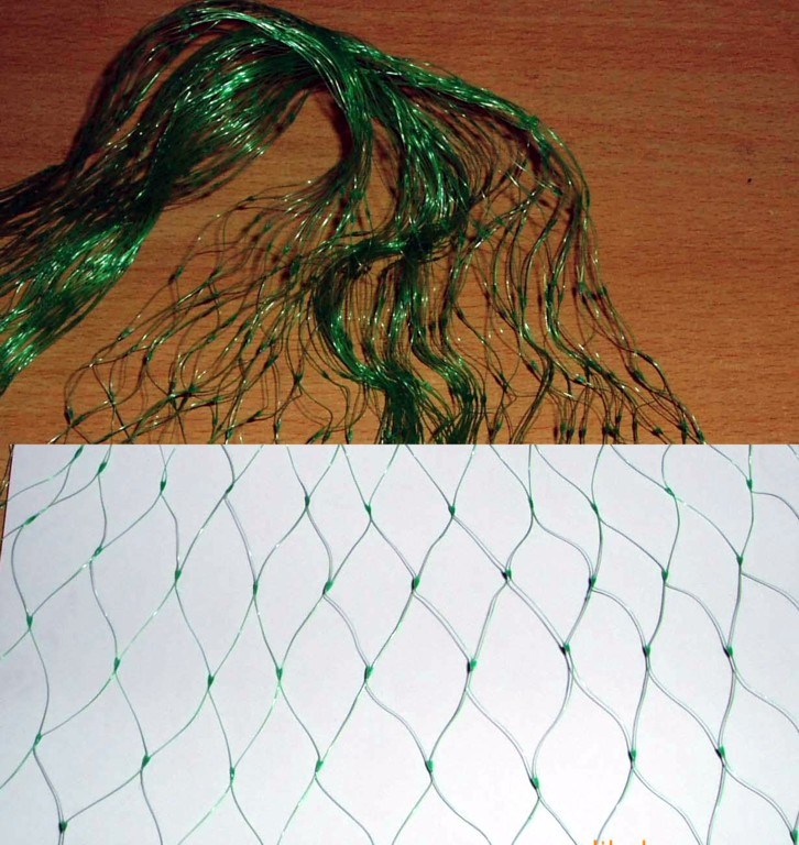 High Quality Bird Net Used in Orchard Farm