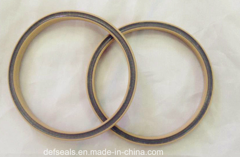 PTFE Spring Energized Seal/Variseal Filled with Silicone