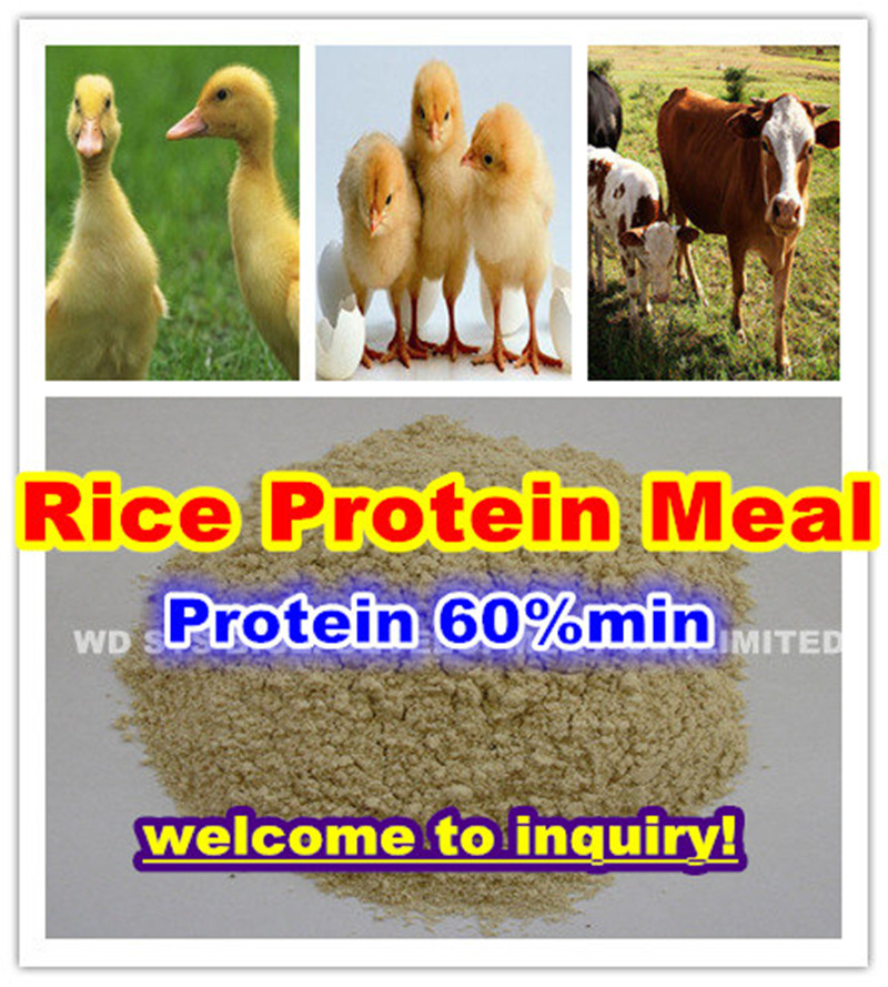 Rice Protein Protein 60min for Feed Additives
