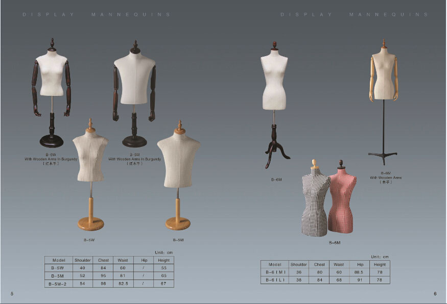 Torso