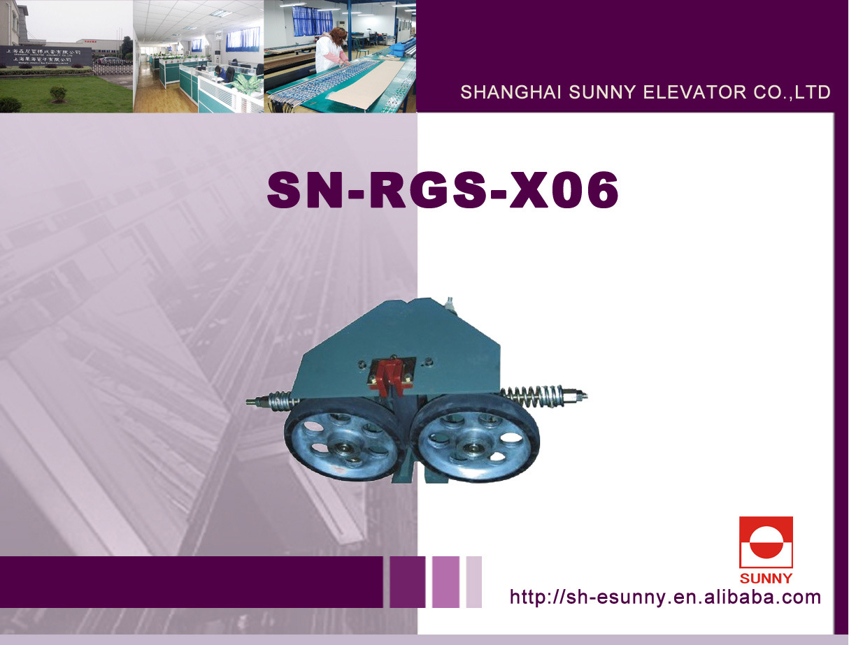 Roller Guide Shoes Elevator (SN-RGS-X06)