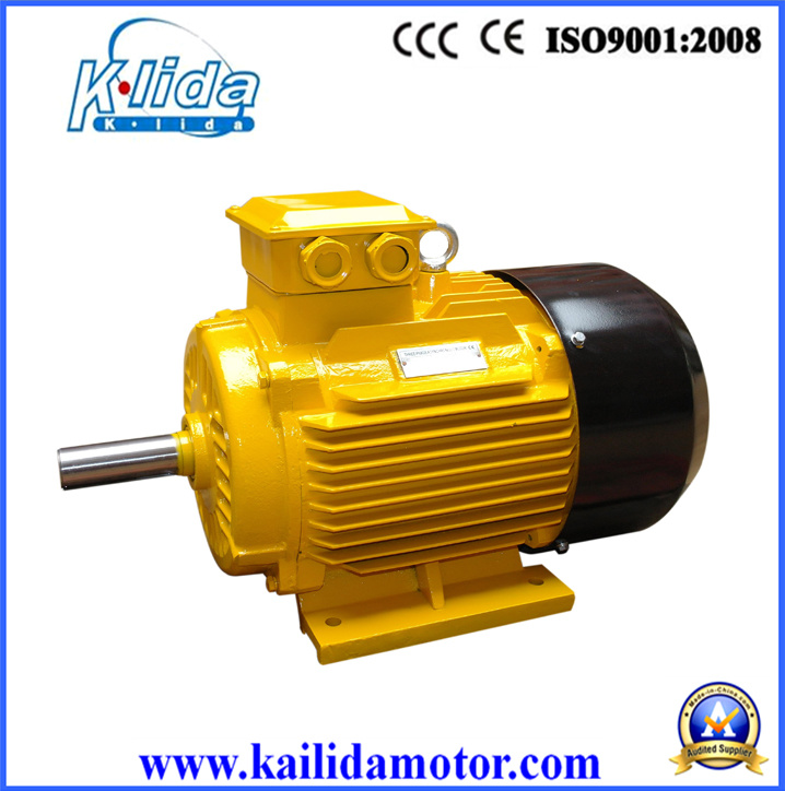 Ie2 /Ie1 Three Phase IEC Standard Electric Motor