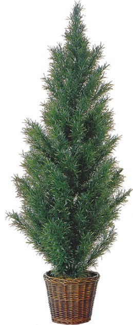 Topiary Tree