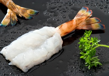 Shrimp2