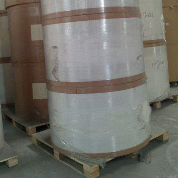 Woodfree Offset Paper Uncoated Paper / Offset Printing Paper