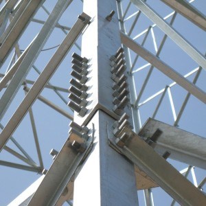 Steel Structure Framework for The Australian Tower (HV169)