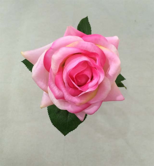 Silk Curve Edge Rose Flowers for Decoration Wedding
