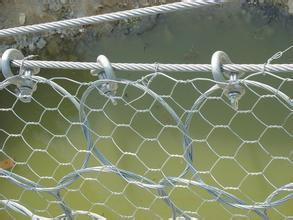Hexagonal Wire Mesh/Hexagonal Chicken Wire Mesh/Galvanized Hexagonal Wire Mesh