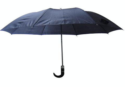 Auto Open Crook Handle 2 Fold Umbrella (2FU006)