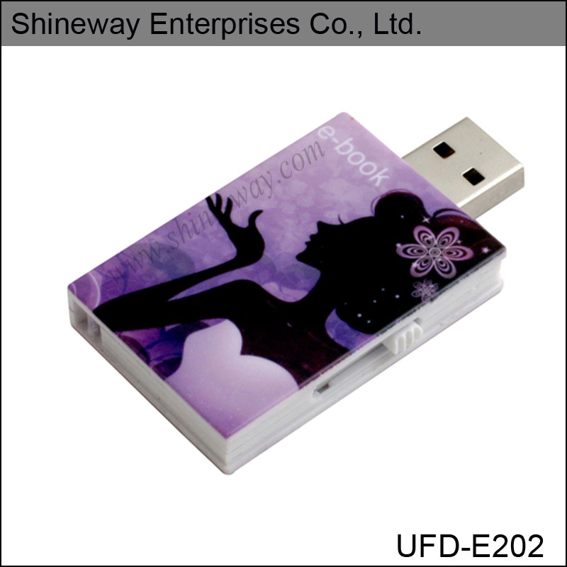 Rouge Box USB Flash Disk (E202)