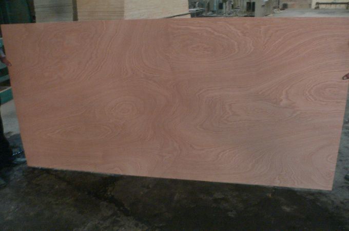 Sapeli Hardwood Core Plywood 2.7mm in Mexico