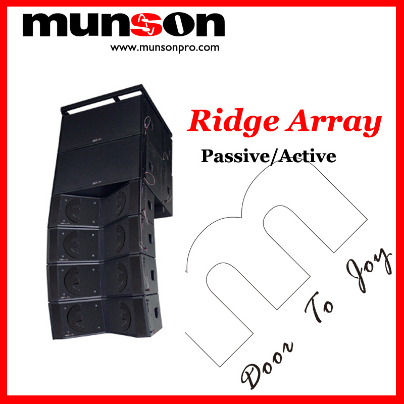 Line Array RA2102 RA215