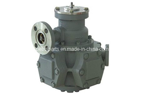 RSJ LPG Flow Meter