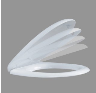 Mold for Plastic Toilet Seat Accessories
