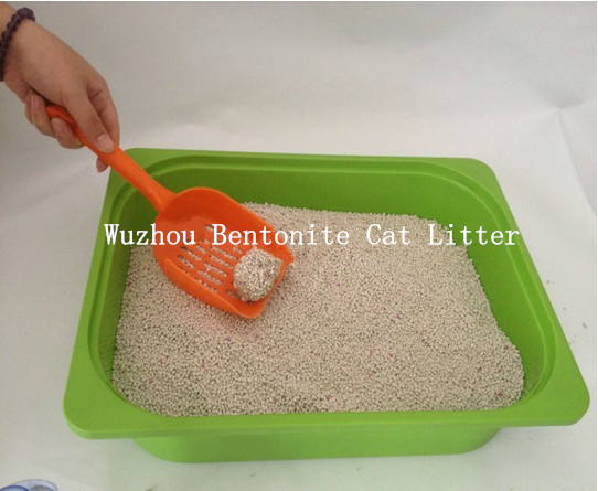 Bentonite Cat Litter