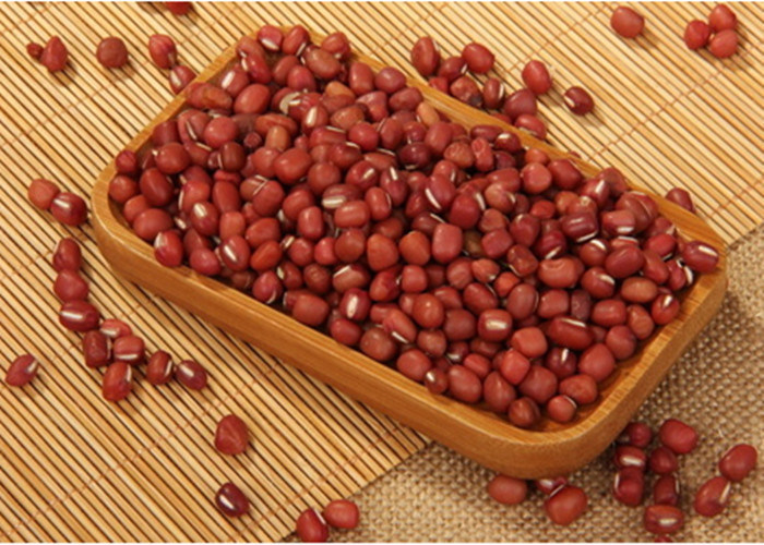 Organic Dried Small Red Mung Bean for Wholesale