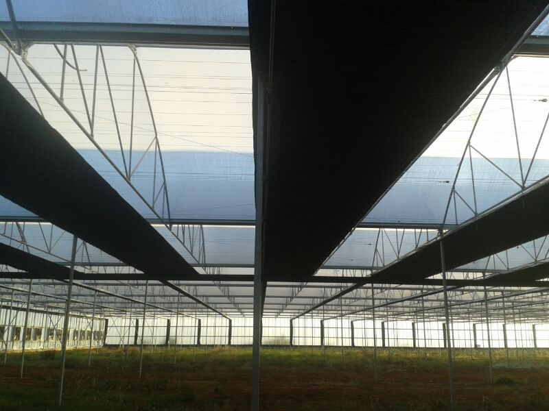 Inside Blackout Net in Double Layer