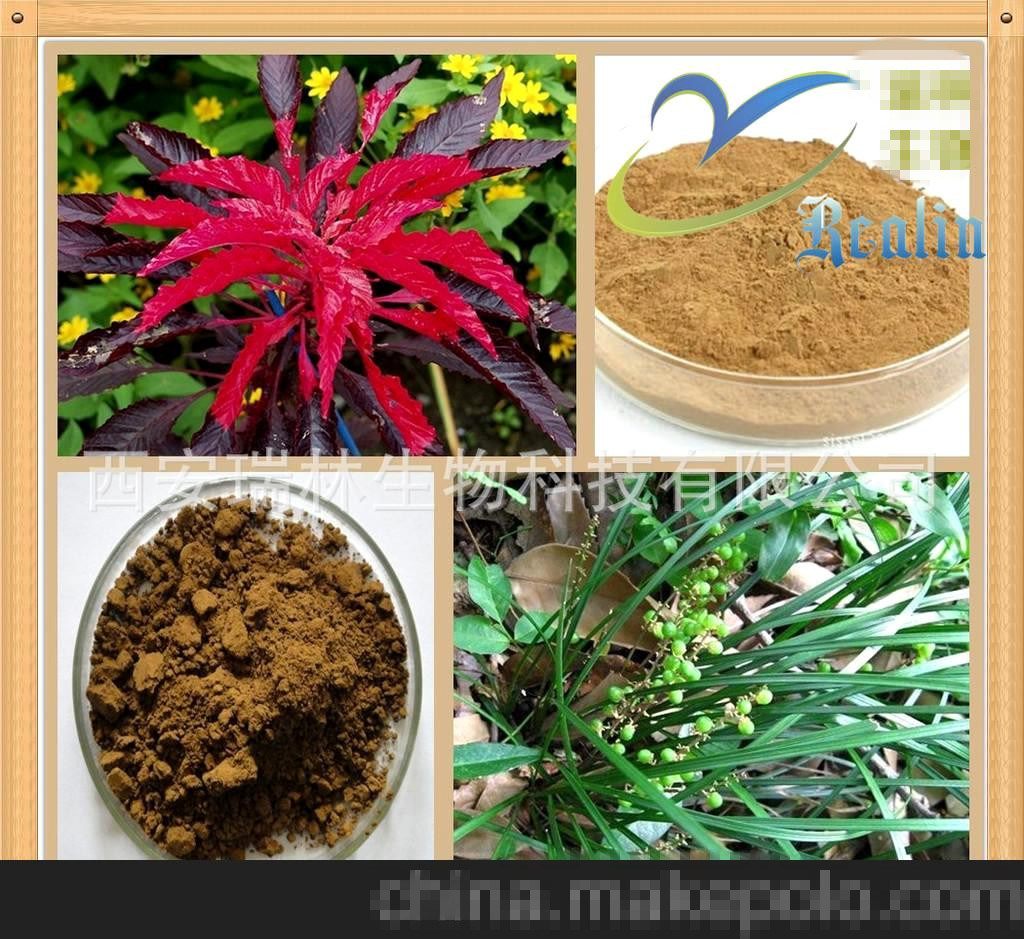 Hok Tong Grass Extract as Sexual Enhancement Supplement