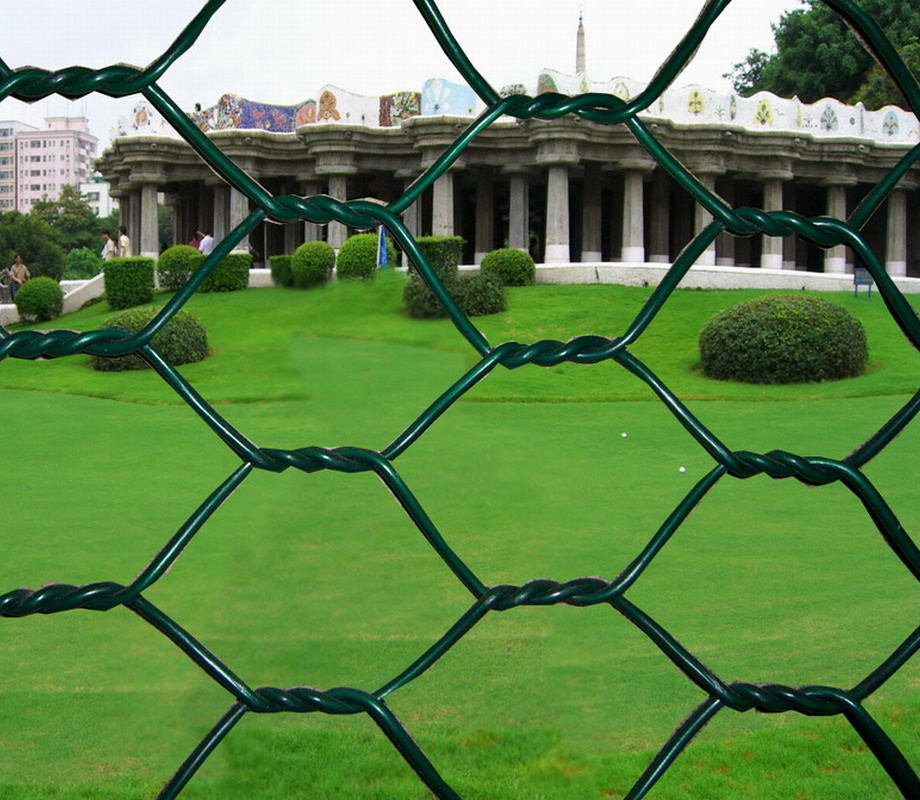 PVC Coated Galvanized Wire Hexagonal Wire Netting