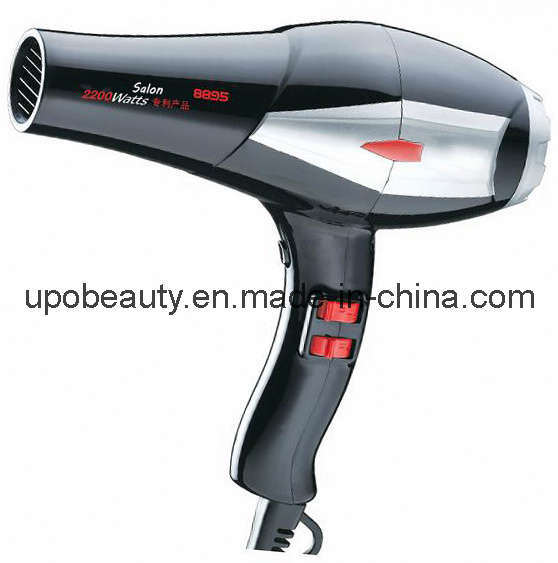 Salon Professional Hair Dryer (8895)