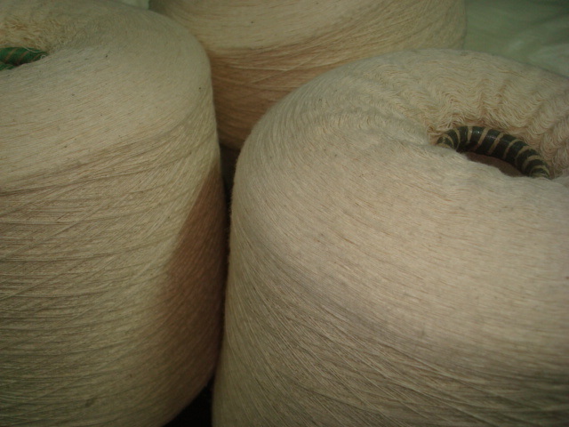 100% Organic Cotton Yarn -OE 16s