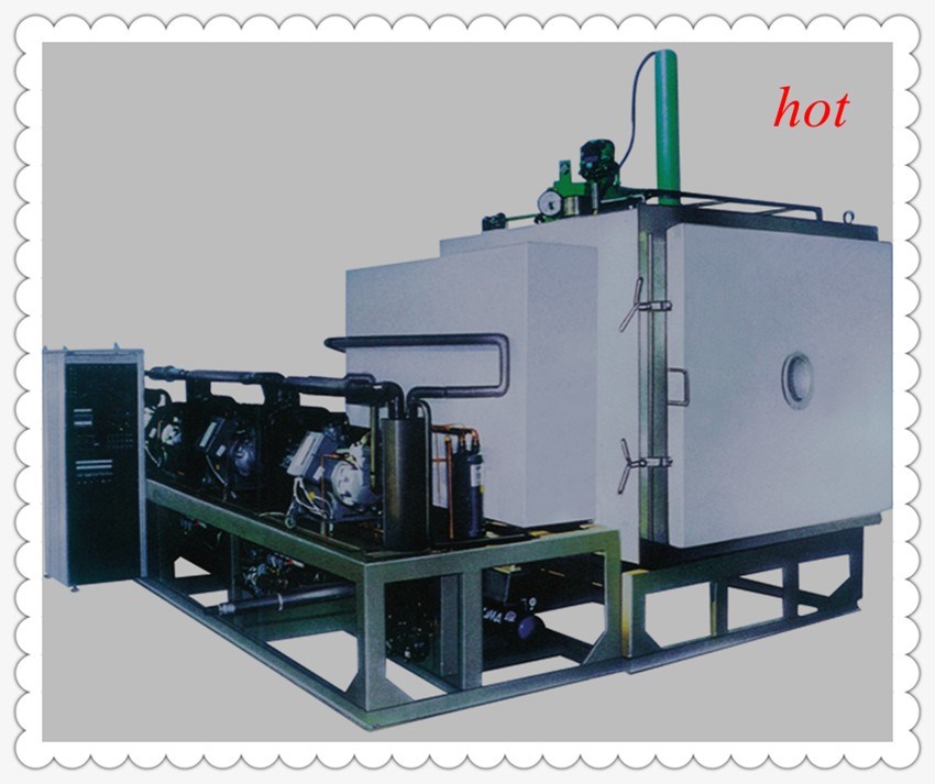 Gzls Vacuum Freeze Drying Machine for Pineapple Flakes