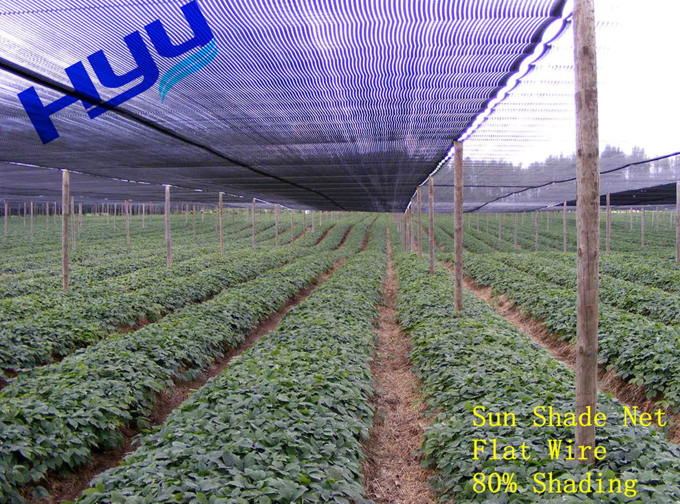 Plastic Woven Shade Netting (152G/M2)