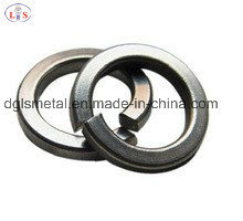 Stainless Steel 304 Washer/Spring Washer with Good Quality