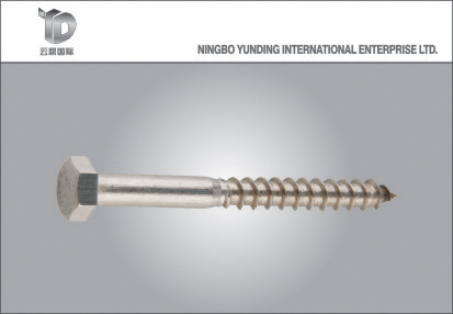 Special Screw with Hexagonal Head Good Quality (YD-HSS01)