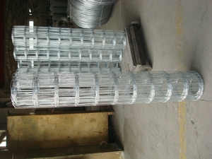 Galvanized Wire Mesh