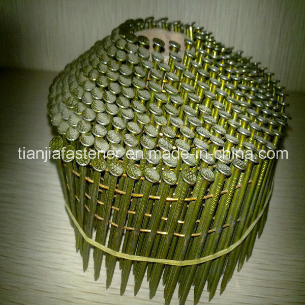 15 Degree Screw/Ring/Smooth Shank Wire Collated Nails/Pallet Coil Nails on Sale