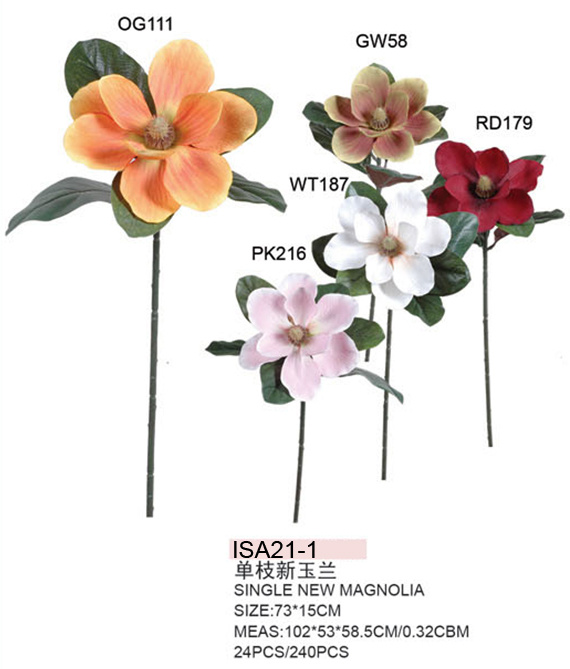 Magnolia