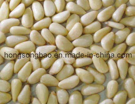 Pine Nut Kernels (028)