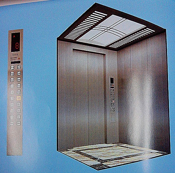 Gearless Passenger Elevator with 1 Year Warranty (DAIS-M102)