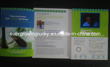 2.4inch LCD Video Brochure with A4 Size 2GB Memory