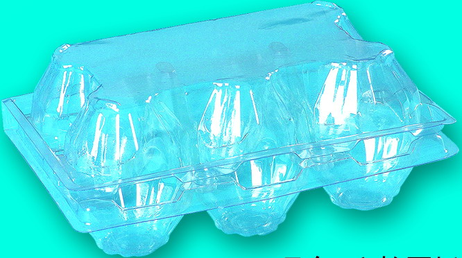 6-Egg Tray